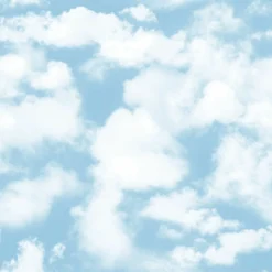 Bio-Jersey, Birthday Ballons, Wolken Blau