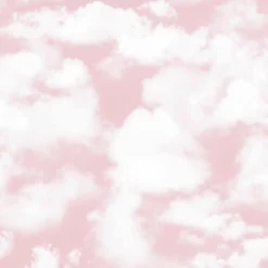 Bio-Jersey, Birthday Ballons, Wolken Rosa