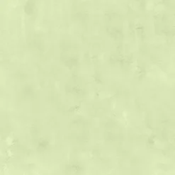 Bio-Jersey, Boho Woman, Grün