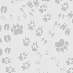 Bio-Jersey, Camping, Tierspuren Grau