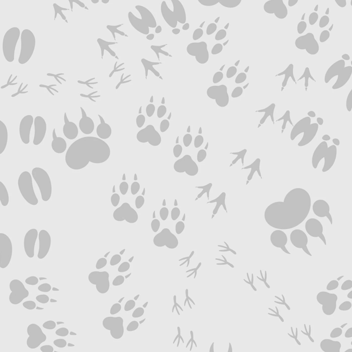 Bio-Jersey, Camping, Tierspuren Grau 1 Bio-Jersey, Camping, Tierspuren Grau