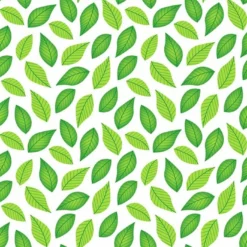 Bio-Jersey Chilly Das Faultier, Kleine Blätter Jersey