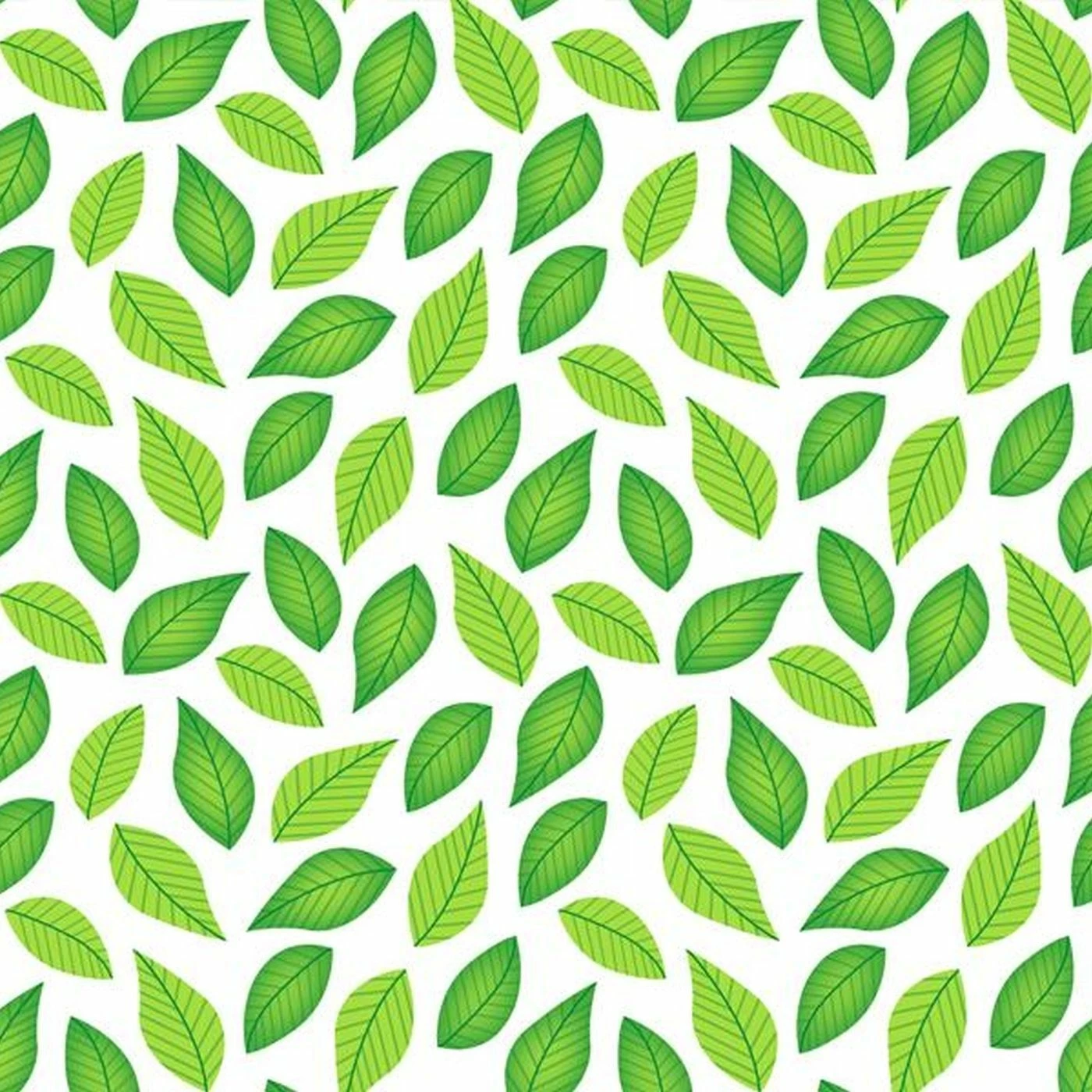 Bio-Jersey Chilly Das Faultier, Kleine Blätter Jersey 1 Bio-Jersey Chilly Das Faultier, Kleine Blätter Jersey