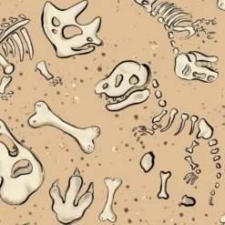 Bio-Jersey, Dinoforscher, Skelett