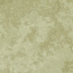 Bio-Jersey, Eiszeit, Falscher Uni Grün