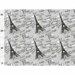 Bio-Jersey, Fernweh, Paris, Grau