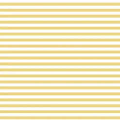 Bio-Jersey, Fernweh, Streifen, Gelb