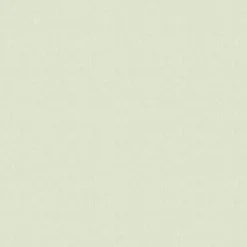 Bio-Jersey, Forest Love, Kombi Uni Grün