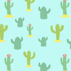 Bio-Jersey, Kakteen, Native Fox