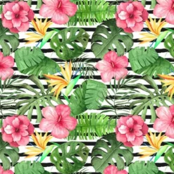 Bio-Jersey, Kleine Glotzies, Kombi Alpaka