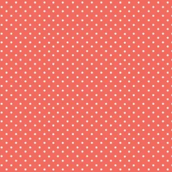 Bio-Jersey, Kombi Punkte, Ahoi