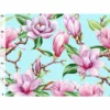 Bio-Jersey, Magnolia Love, Blumen Auf Türkis