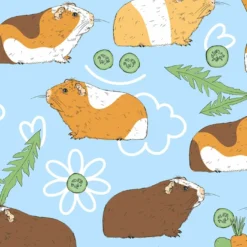 Bio-Jersey, Meerschweinchen, Hellblau