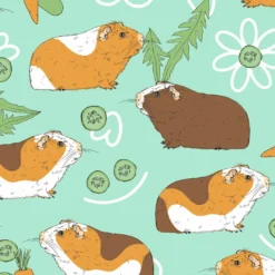 Bio-Jersey, Meerschweinchen, Türkis