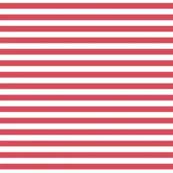 Bio-Jersey MEHR MEER, Streifen Kombi