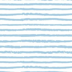 Bio-Jersey, Mein Freund Albert, Streifen Hellblau