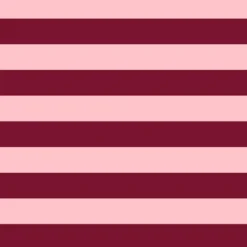 Bio-Jersey, Mutmach Bären, Blockstreifen Rosa Rot