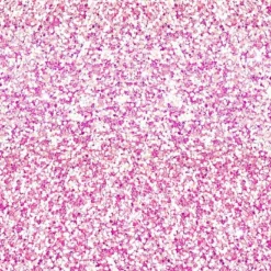 Bio-Jersey, Pferde, Fake Glitzer