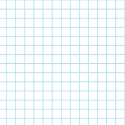 Bio-Jersey, Rechenkästchen, Kleiner Einstein