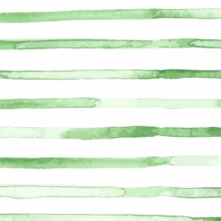 Bio-Jersey, Streifen, Grün, Kleiner Kapitän