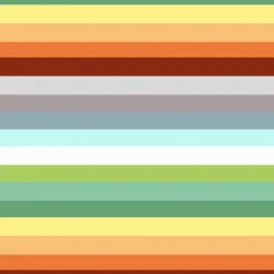 Bio-Jersey, Streifen, Native Fox