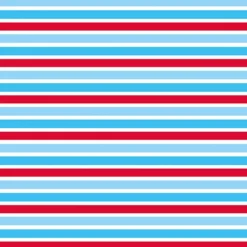 Bio-Jersey Streifen, Piraten Ahoi