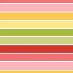 Bio-Jersey, Süßes Früchtchen, Kombi Streifen Melone