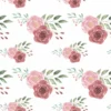Bio-Jersey, Wild Roses I