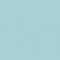 Bio-Sommersweat, Schnee, Waschbärwinter