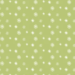 Bio-Sommersweat, Schneeflocken, Waschbärwinter