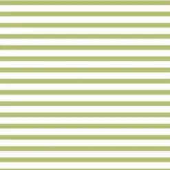 Bio-Sommersweat, Streifen, Waschbärwinter