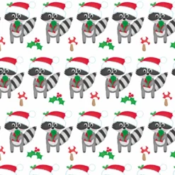 Bio-Sommersweat, Waschbär, Weihnachtsfreunde,by