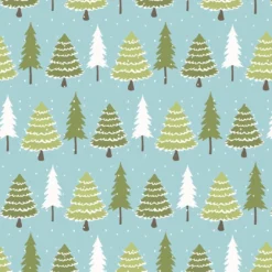 Bio-Sommersweat, Winterwald, Waschbärwinter