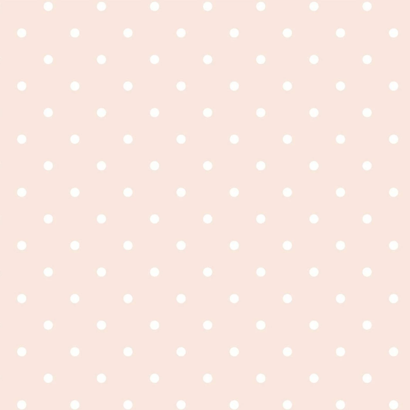 CANVAS, Love Rose,Punkte Peach 1 CANVAS, Love Rose,Punkte Peach