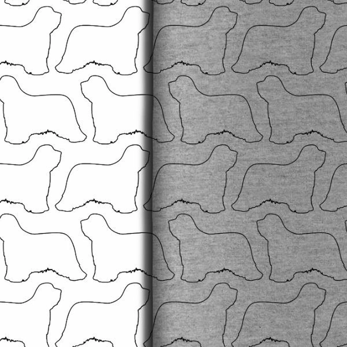 Hunderassen (Dogs) Bearded Collie 1 Hunderassen (Dogs) Bearded Collie