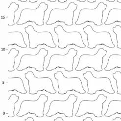 Hunderassen (Dogs) Bearded Collie 7 Hunderassen (Dogs) Bearded Collie -Outlet STOFFWELTEN Store hunderassen dogs bearded collie3