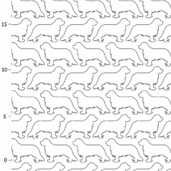 Hunderassen (Dogs) Cavalier King Charles Spaniel -Outlet STOFFWELTEN Store hunderassen dogs cavalier king charles spaniel3