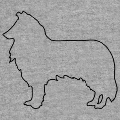 Hunderassen (Dogs) Collie -Outlet STOFFWELTEN Store hunderassen dogs collie4