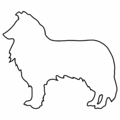 Hunderassen (Dogs) Collie -Outlet STOFFWELTEN Store hunderassen dogs collie5