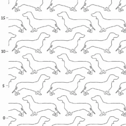 Hunderassen (Dogs) Dackel 7 Hunderassen (Dogs) Dackel -Outlet STOFFWELTEN Store hunderassen dogs dackel3