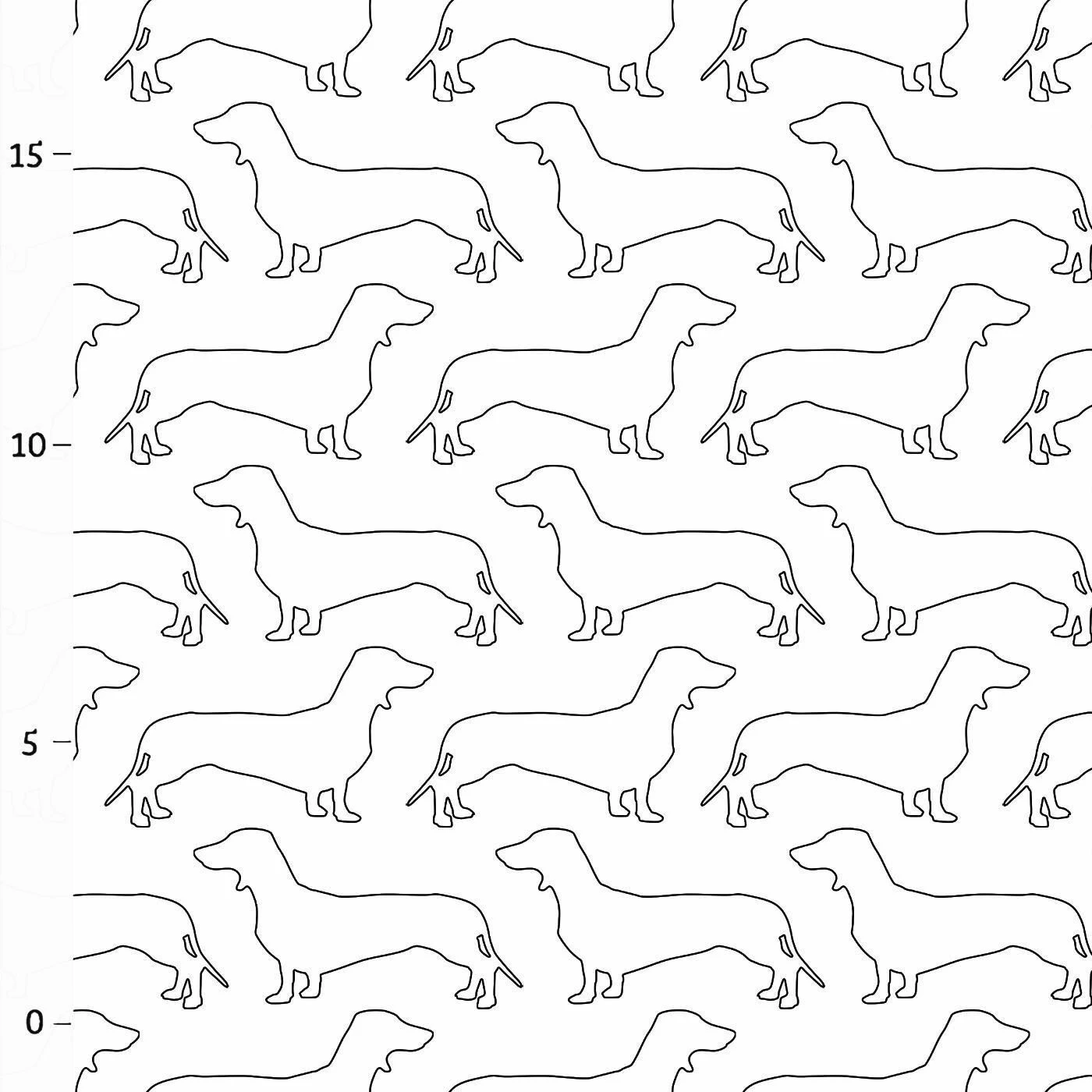 Hunderassen (Dogs) Dackel 3 Hunderassen (Dogs) Dackel – Bild 3