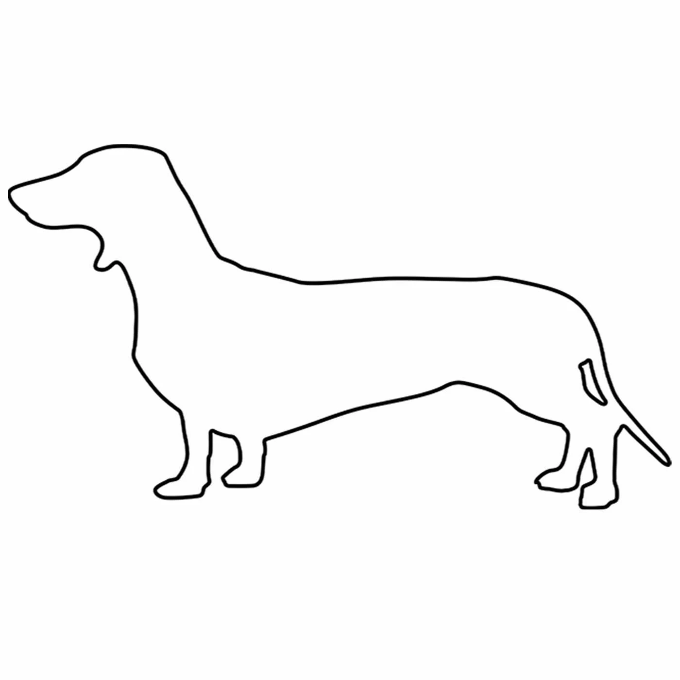 Hunderassen (Dogs) Dackel 4 Hunderassen (Dogs) Dackel – Bild 4