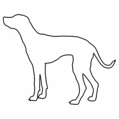 Hunderassen (Dogs) Dalmatiner -Outlet STOFFWELTEN Store hunderassen dogs dalmatiner5