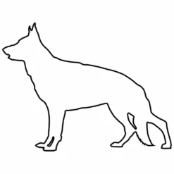 Hunderassen (Dogs) Deutscher Schäferhund -Outlet STOFFWELTEN Store hunderassen dogs deutscher schaeferhund4