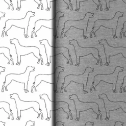 Hunderassen (Dogs) Rhodesian Ridgeback