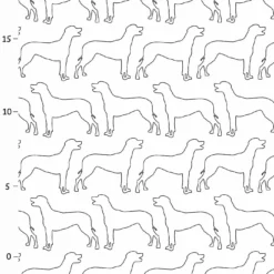 Hunderassen (Dogs) Rhodesian Ridgeback -Outlet STOFFWELTEN Store hunderassen dogs rhodesian ridgeback3