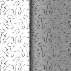 Hunderassen (Dogs) Schnauzer