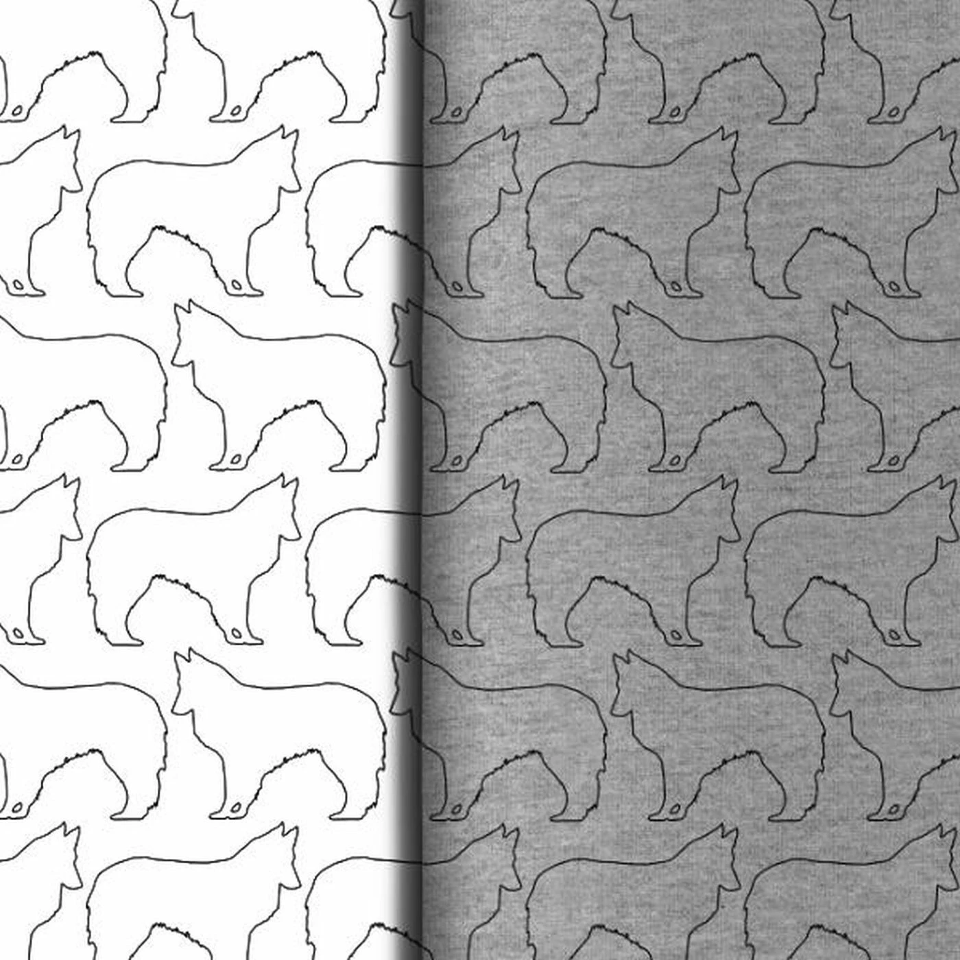 Hunderassen (Dogs) Shetland Sheepdog 1 Hunderassen (Dogs) Shetland Sheepdog