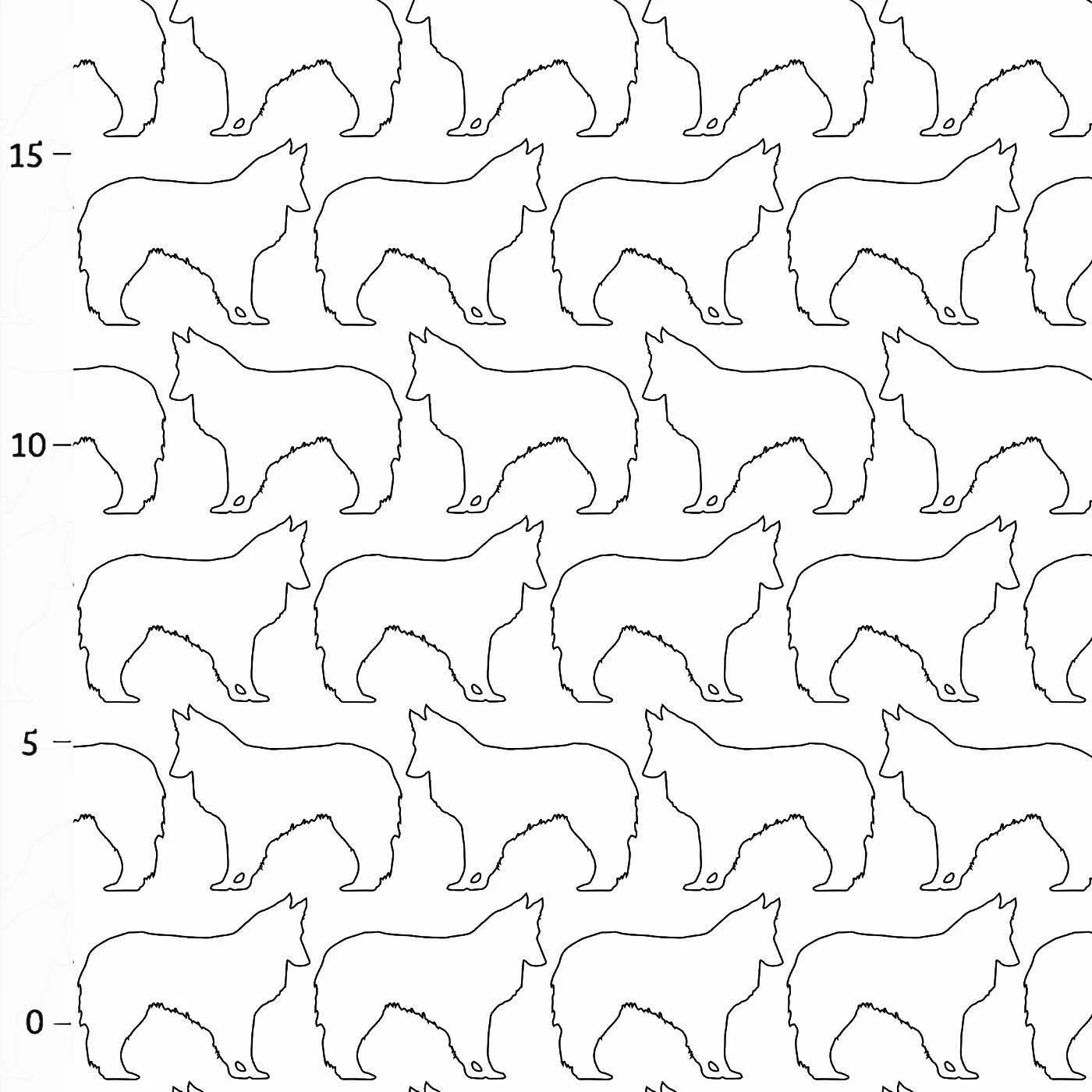Hunderassen (Dogs) Shetland Sheepdog 3 Hunderassen (Dogs) Shetland Sheepdog – Bild 3