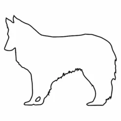 Hunderassen (Dogs) Shetland Sheepdog 8 Hunderassen (Dogs) Shetland Sheepdog -Outlet STOFFWELTEN Store hunderassen dogs shetland sheepdog4